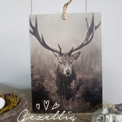 Mini paneel: Rendier