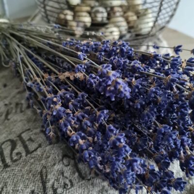 Droogbloemen : Lavendel bosje