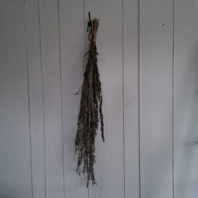 Droogbloemen: Alfonso grass 100cm