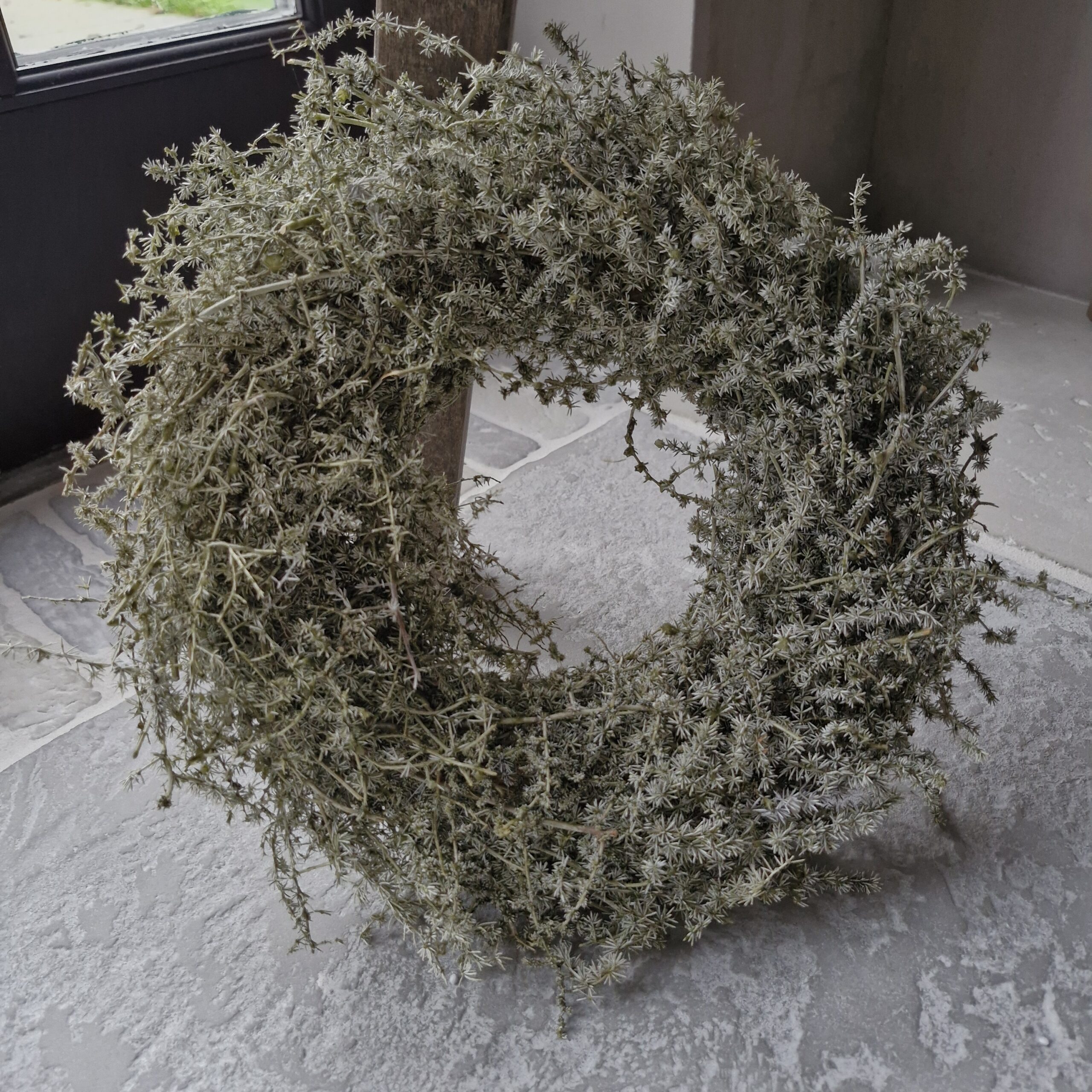 Asparagus krans groen 35cm