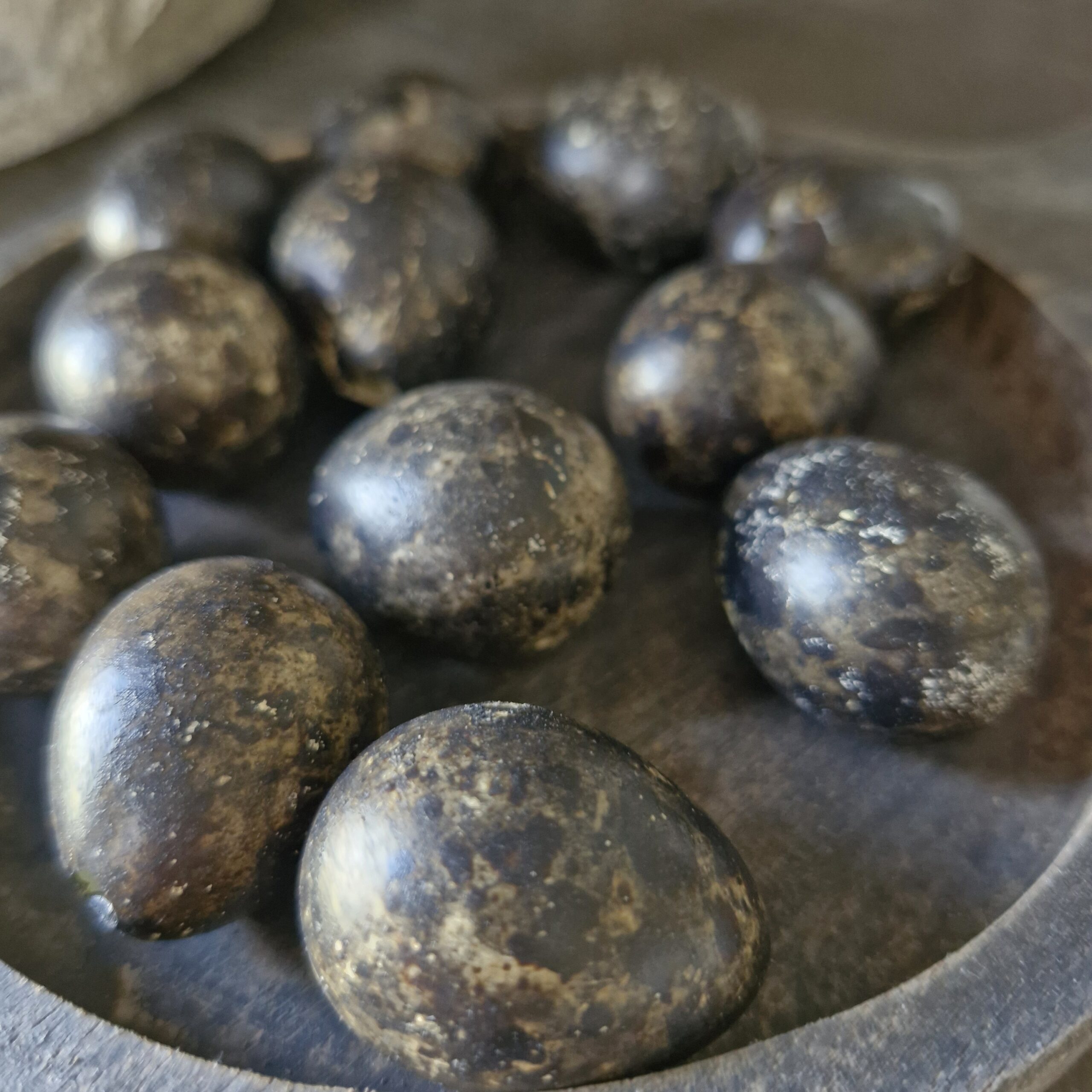 Kwarteleitjes zwart 20st