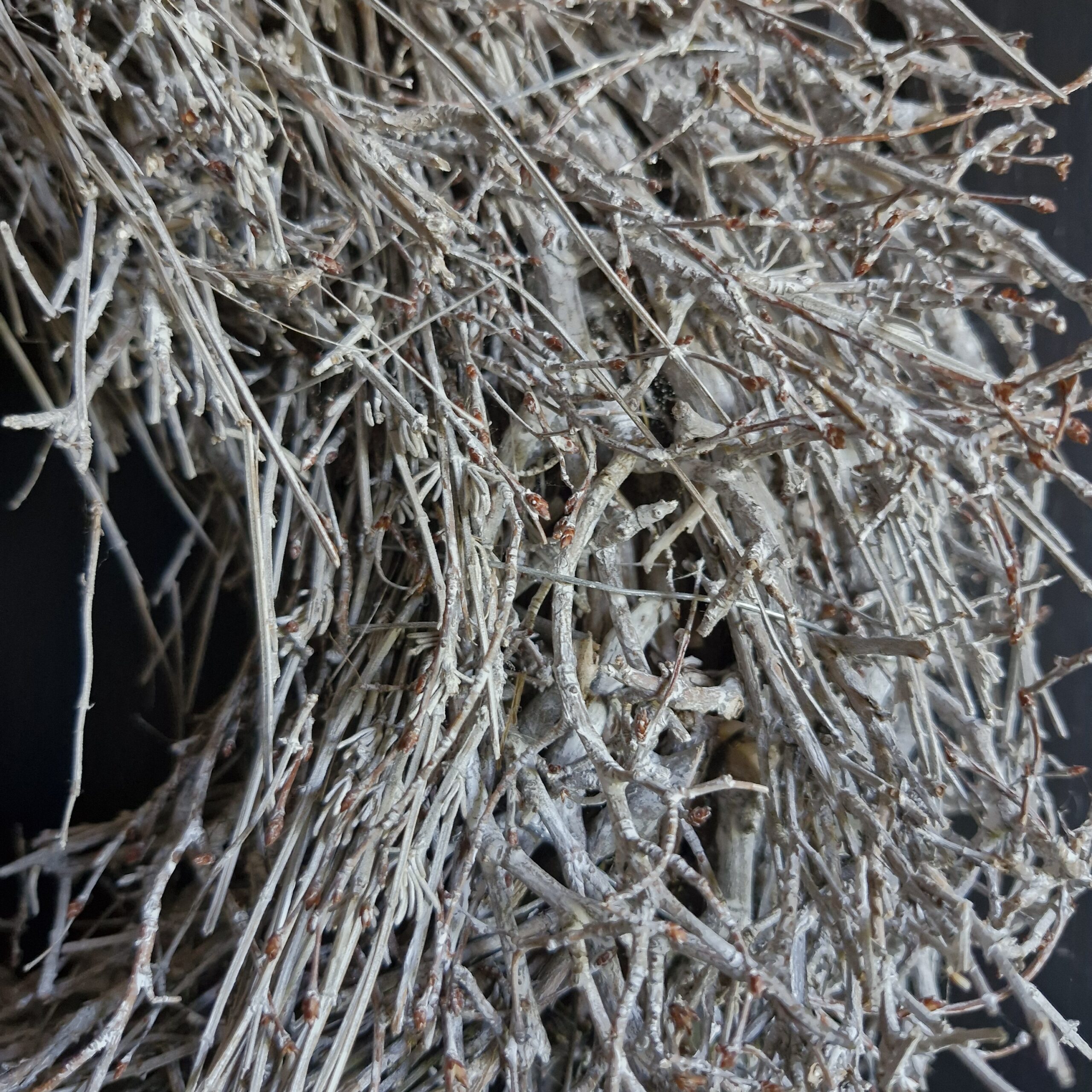 Krans Bonsai frosted 40cm